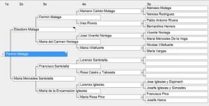 Arbol genealogico de Fermin Malaga Santolalla